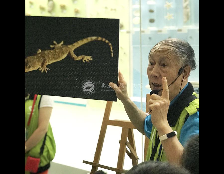 1529666545621033072.jpg 5Du_5.jpg