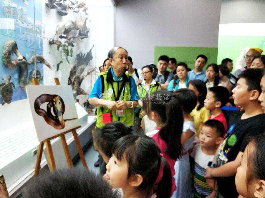 1529666608302052606.jpg 5Du_6.jpg