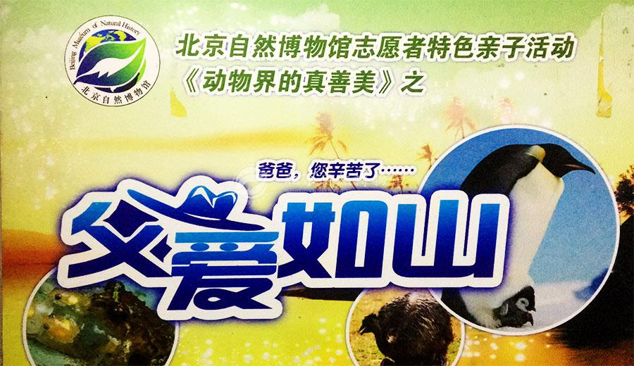 1529667422857075725.jpg Father_Board.jpg