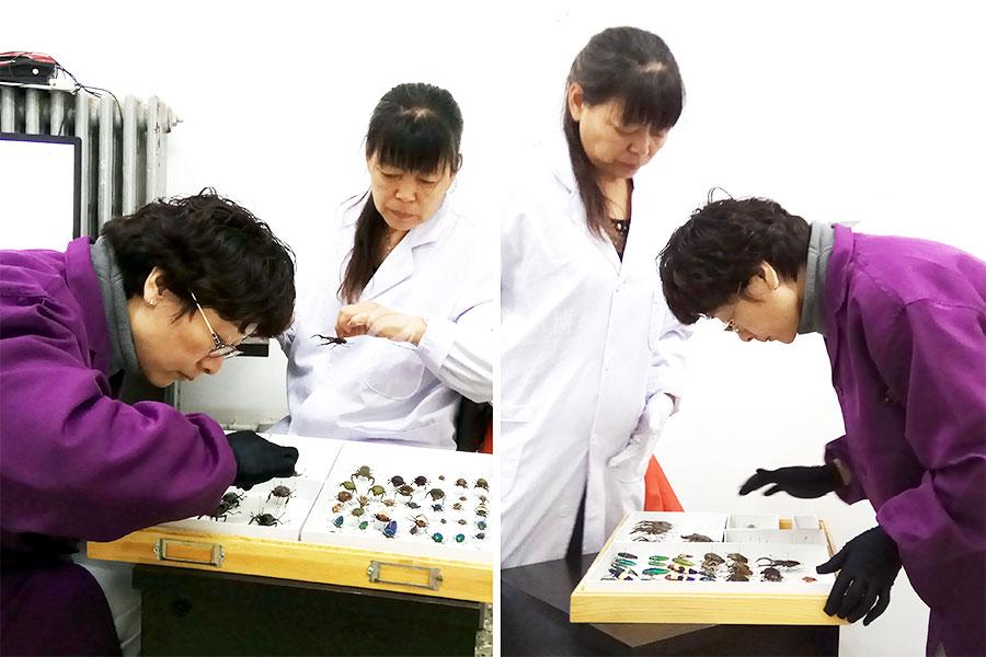 1530281969234049721.jpg ZYZ_4.jpg