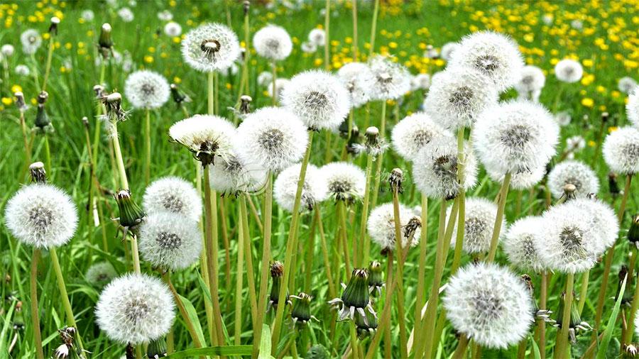 1530282744446009395.jpg PGY_12.jpg