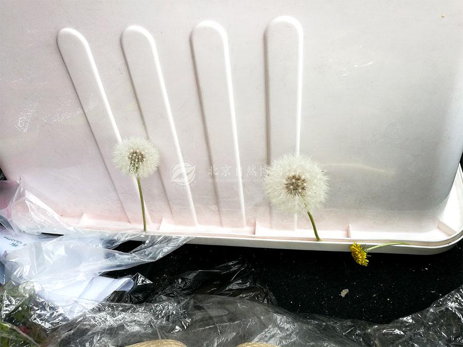 1530282842835087685.jpg PGY_02.jpg