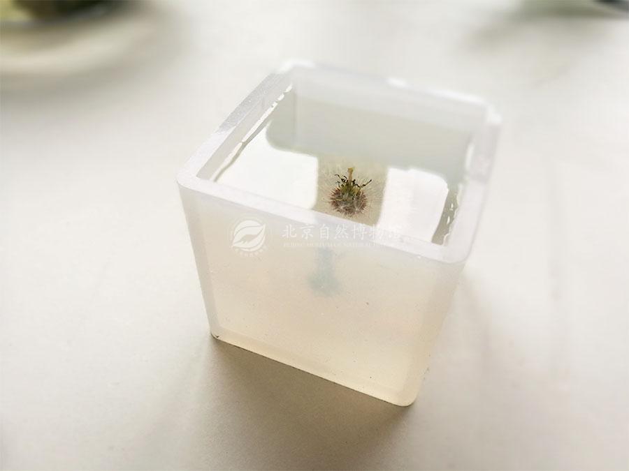 1530283485525020568.jpg PGY_08.jpg