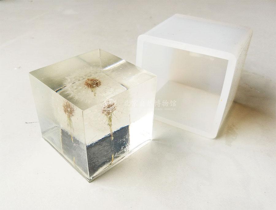 1530283621074090180.jpg PGY_10.jpg