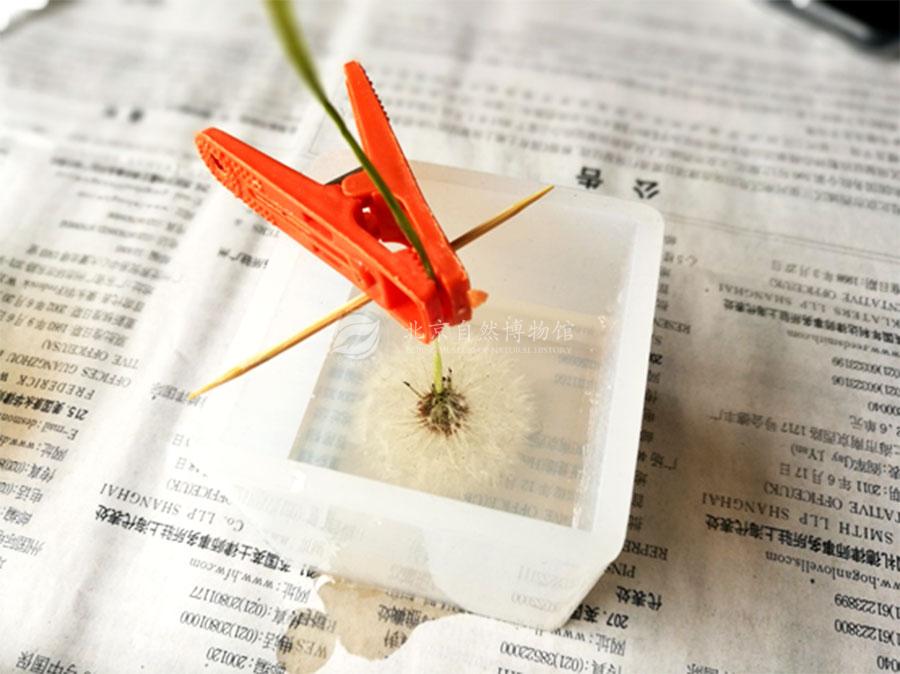 1530283839568021454.jpg PGY_06.jpg